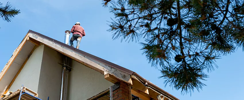 Birds Removal Contractors from Chimney in San Mateo, CA